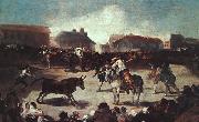 Village Bullfight